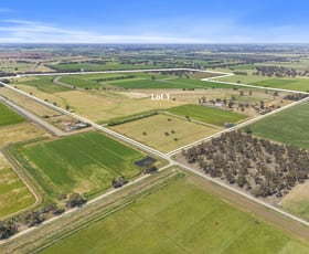 Rural / Farming commercial property for sale at 2898 Murray Valley Highway Yielima VIC 3638