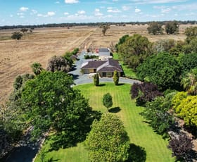Rural / Farming commercial property for sale at 94 Waitohi Lane Condobolin NSW 2877