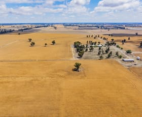Rural / Farming commercial property sold at 1757 Berrigan Road Berrigan NSW 2712