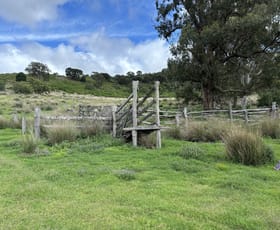 Rural / Farming commercial property sold at Lot 198 Pechey Maclagan Road Groomsville QLD 4352