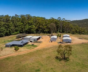 Rural / Farming commercial property for sale at 203 Clarke Road North Walpole WA 6398
