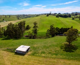 Rural / Farming commercial property for sale at 141 Sledge Track West Scottsdale TAS 7260