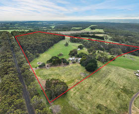 Rural / Farming commercial property sold at 765 Colac-Lavers Hill Road Barongarook VIC 3249