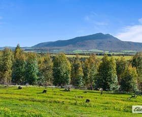 Rural / Farming commercial property for sale at Iron Pot Creek Road Mount Cole Creek VIC 3377