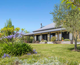 Rural / Farming commercial property for sale at 12217 Clarence Way Sandilands NSW 2469
