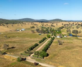 Rural / Farming commercial property for sale at 742 Bendemeer Road Kingstown NSW 2358