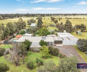 Rural / Farming commercial property for sale at 172 Sebastian Road Bridgewater VIC 3516