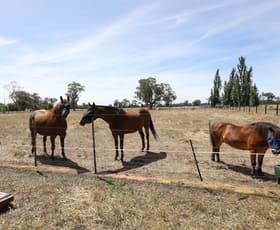 Rural / Farming commercial property sold at Lot 2 Benalla-Tocumwal Road Muckatah VIC 3644