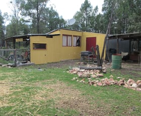 Rural / Farming commercial property for sale at Tara QLD 4421