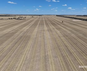 Rural / Farming commercial property sold at Lot 1 Baandee North Road North Baandee WA 6412