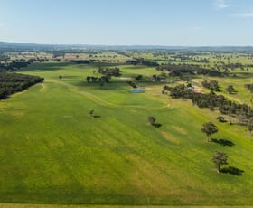 Rural / Farming commercial property for sale at 966 Peak Hill Road Baldry NSW 2867