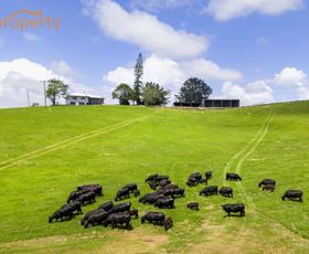 Rural / Farming commercial property for sale at Lot 1, 103 Soldier Settlers Road Newee Creek NSW 2447
