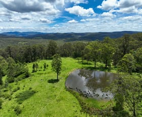 Rural / Farming commercial property for sale at 4100, 4164 & 4166 Paddys Flat Road Upper Tooloom NSW 2475