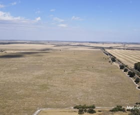 Rural / Farming commercial property sold at Lot 657 South Coast Highway Gibson WA 6448