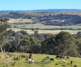 Rural / Farming commercial property for sale at 1886 Gurrundah Road Goulburn NSW 2580