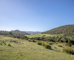 Rural / Farming commercial property for sale at South Bridgenorth Road Bridgenorth TAS 7277