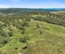 Rural / Farming commercial property for sale at 'Top Nioka' 385 Gibbergunyah Rd Scone NSW 2337
