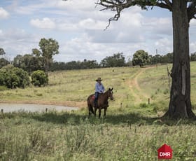 Rural / Farming commercial property for sale at Mundubbera QLD 4626