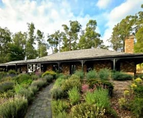 Rural / Farming commercial property for sale at 91 McInnes Road Tynong North VIC 3813