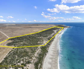 Rural / Farming commercial property for sale at Lot 154 & Blocks K/L Diamond Lake Road Honiton SA 5576