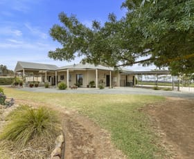 Rural / Farming commercial property for sale at 24 Moccundunda Road Clare SA 5453