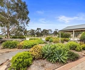 Rural / Farming commercial property for sale at 24 Moccundunda Road Clare SA 5453