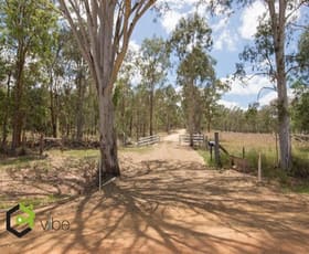 Rural / Farming commercial property sold at 339 Washpool Road Washpool QLD 4306