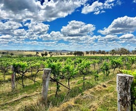 Rural / Farming commercial property for sale at 376 Kingstown Road Uralla NSW 2358
