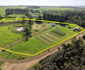 Rural / Farming commercial property for sale at 2/209 Timboon Curdievale road Timboon VIC 3268