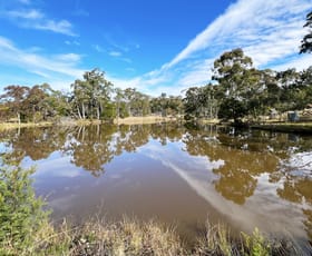 Rural / Farming commercial property sold at 940 Currumbin Creek Road Currumbin Valley QLD 4223