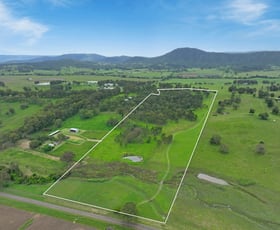 Rural / Farming commercial property for sale at 269 Nindooinbah Estate Road Nindooinbah QLD 4285