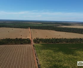 Rural / Farming commercial property for sale at 625 Napier Road Katherine NT 0850