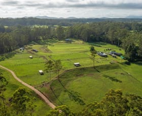 Rural / Farming commercial property for sale at 58 NELSONS ROAD Bago NSW 2446