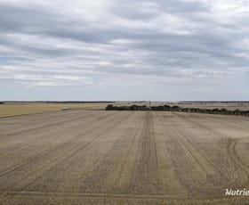 Rural / Farming commercial property sold at Lot 24 Coomalbidgup Road Esperance WA 6450