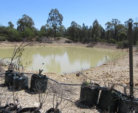 Rural / Farming commercial property for sale at 129 Miegunyah Court Tara QLD 4421