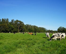 Rural / Farming commercial property for sale at 282 Newtons Road Dumaresq Island NSW 2430