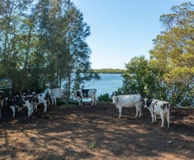 Rural / Farming commercial property for sale at 282 Newtons Road Dumaresq Island NSW 2430