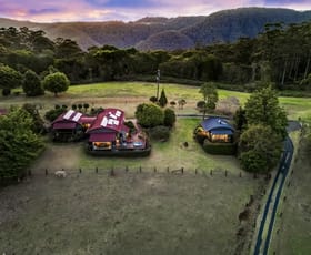 Rural / Farming commercial property for sale at Mount Nimmel Road Austinville QLD 4213