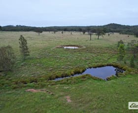 Rural / Farming commercial property for sale at 202 Carbean Road Karara QLD 4352