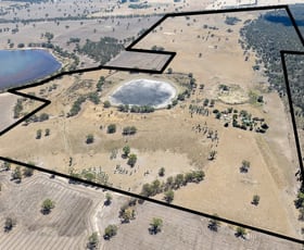 Rural / Farming commercial property sold at 99 Poyntons Road Wombelano VIC 3409