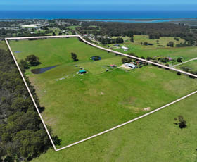 Rural / Farming commercial property for sale at 3151 Princes Highway Kalimna VIC 3909