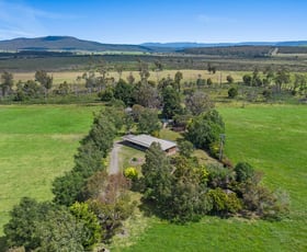 Rural / Farming commercial property for sale at 528 Avenue Road Parkham TAS 7304