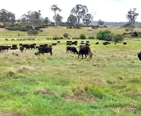 Rural / Farming commercial property for sale at 1020 Stonehenge Road Stonehenge TAS 7120