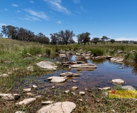 Rural / Farming commercial property for sale at 735 Kaludabah Road Mudgee NSW 2850