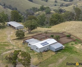 Rural / Farming commercial property for sale at 2340 Campfire Road Walcha NSW 2354