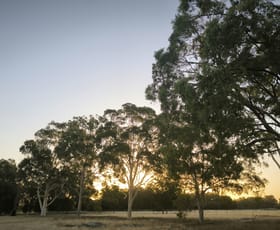 Rural / Farming commercial property for sale at 252 Ellenbrook Road Bullsbrook WA 6084