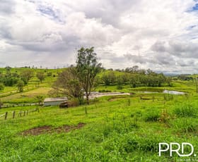 Rural / Farming commercial property for sale at 532 Pines Road Edenville NSW 2474