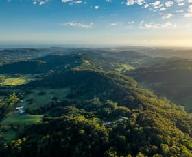 Rural / Farming commercial property for sale at 364 Tomewin Mountain Road Currumbin Valley QLD 4223