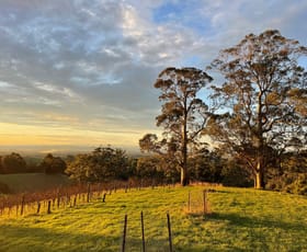 Rural / Farming commercial property for sale at 504 Warragul-Leongatha Road Seaview VIC 3821