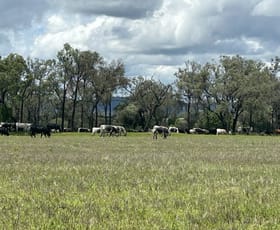 Rural / Farming commercial property for sale at Lot 50 Rosenberger Road Wyreema QLD 4352